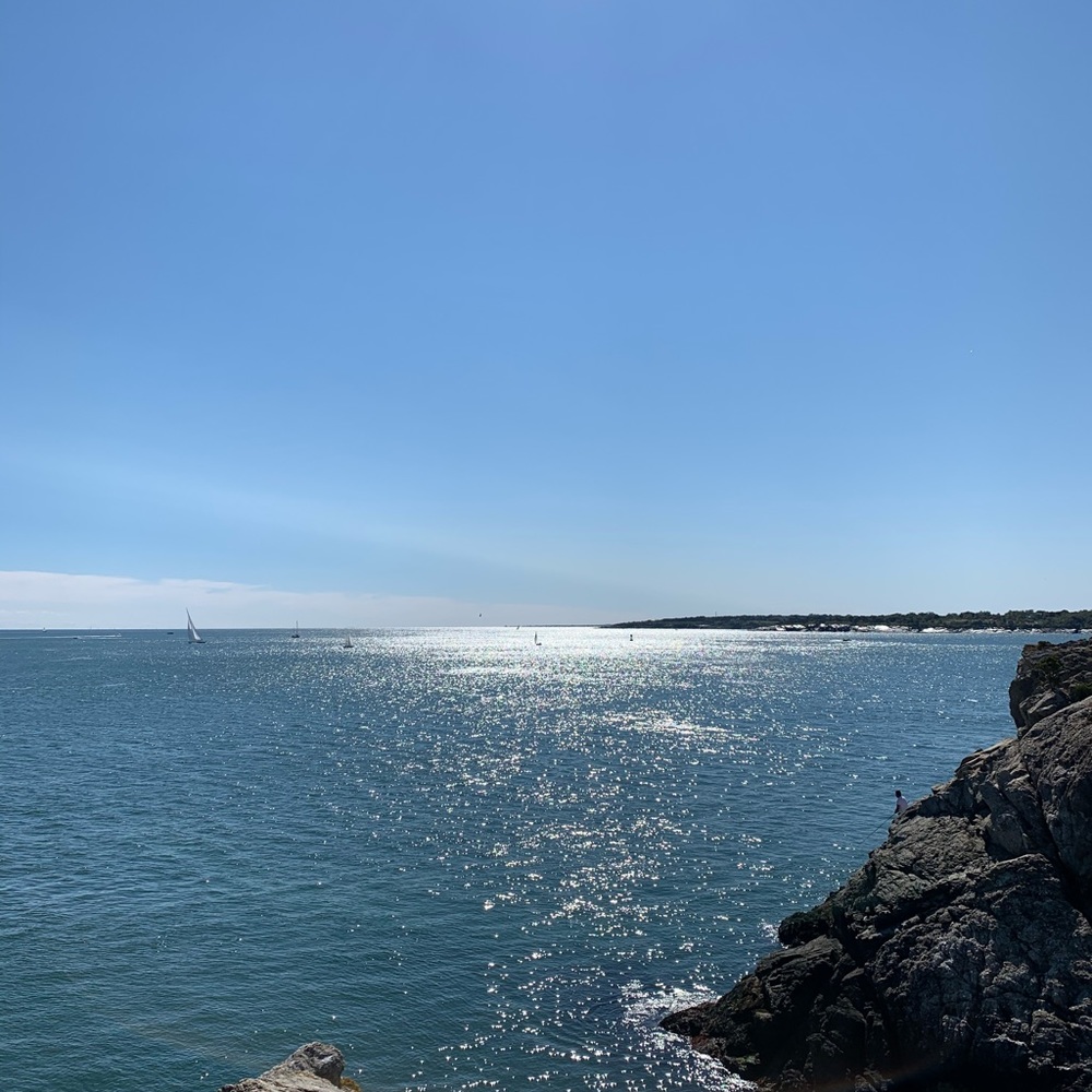 Meet your Posher, Bridget